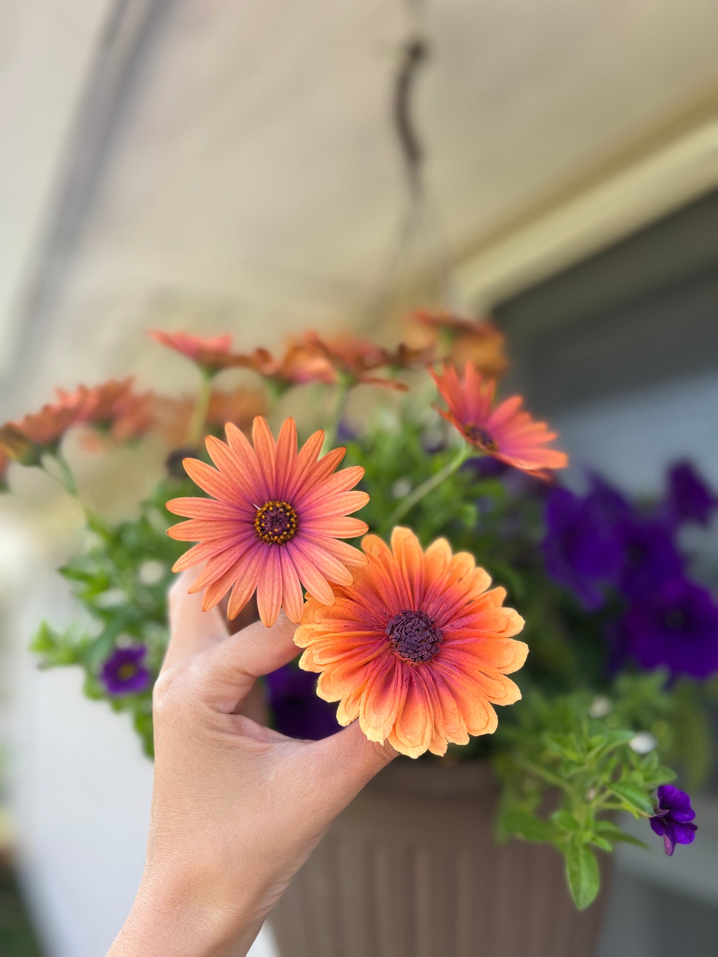 Ellie's Garden Bouquet, 2023 Edition